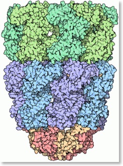Pasted Graphic 1